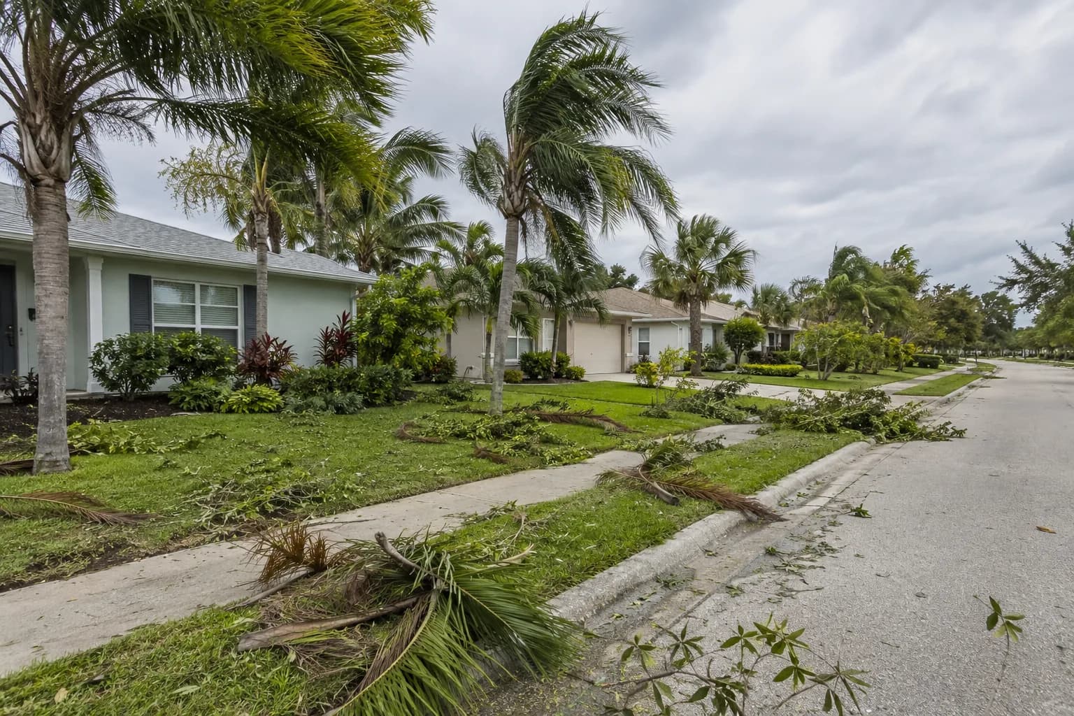 Palm fronds and branches along lawns in a residential neighborhood after a storm